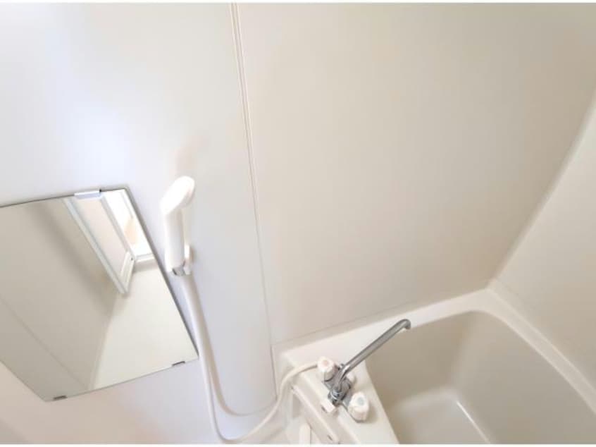  グリーンリーフ