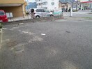  ヴァンベール桜