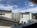  D's Gallery