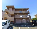サンテラス初生