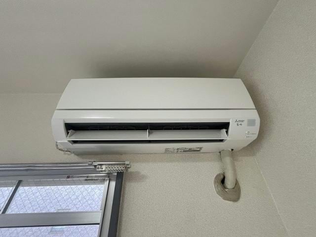  サンテラス初生
