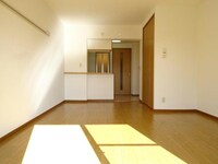 アポロミレニア