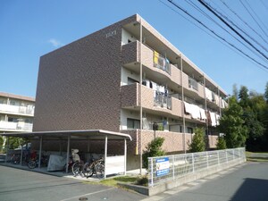 ＴＡＫＩ