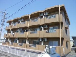 ＭＡＩＳＯＮ　ＳＯＬＥＩＬ　高丘東