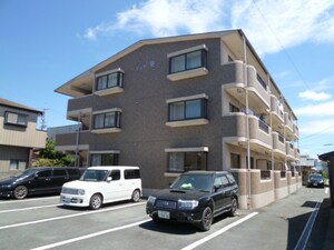 ピュア葵