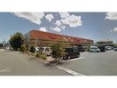 フードマーケットMom高丘東店(スーパー)まで1864m エルフ（東側）セトル（西側）