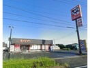 かつや浜松西インター店(その他飲食（ファミレスなど）)まで507m エルフ（東側）セトル（西側）