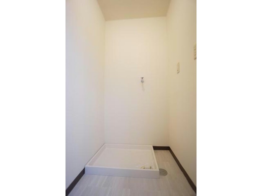  マカロニほうれん荘