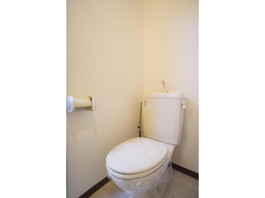  マカロニほうれん荘