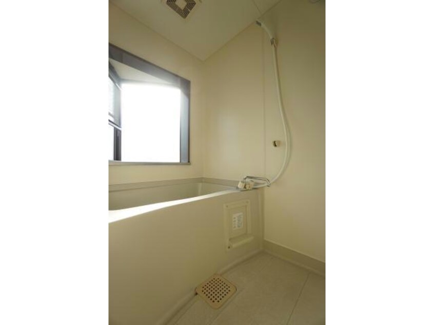 窓付き アントレ初生