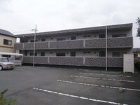 パティオ（初生）