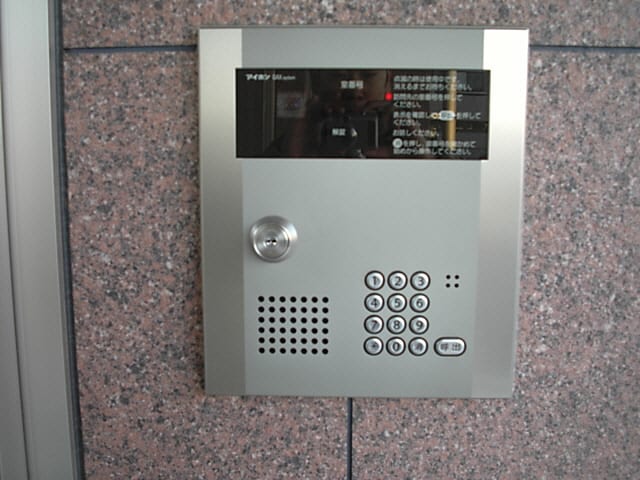  グランストーク初生