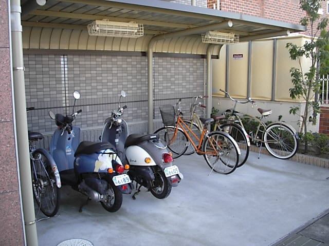  グランストーク初生