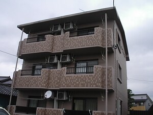 ピューピル小池