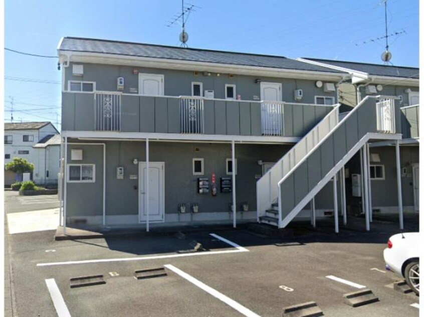 B セントポーリア葵B、C