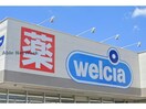 ウエルシア浜松初生店(ドラッグストア)まで406m オリーブブランチⅡ