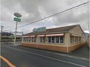サイゼリヤ浜松初生店(その他飲食（ファミレスなど）)まで277m オリーブブランチⅡ