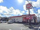 ガスト浜松初生店（から好し取扱店）(その他飲食（ファミレスなど）)まで486m オリーブブランチⅡ