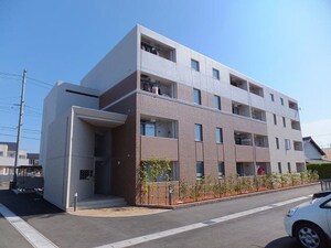サンリット初生