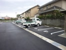  ブエナカーサ初生