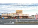 エブリィビッグデー高台店(スーパー)まで745m New Century