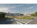 イオン浜松市野店(スーパー)まで1281m クレセントコート