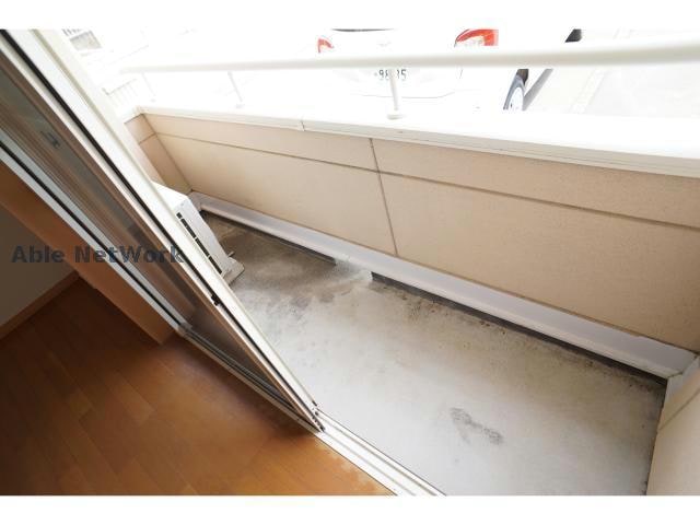  クローバー(三方原)