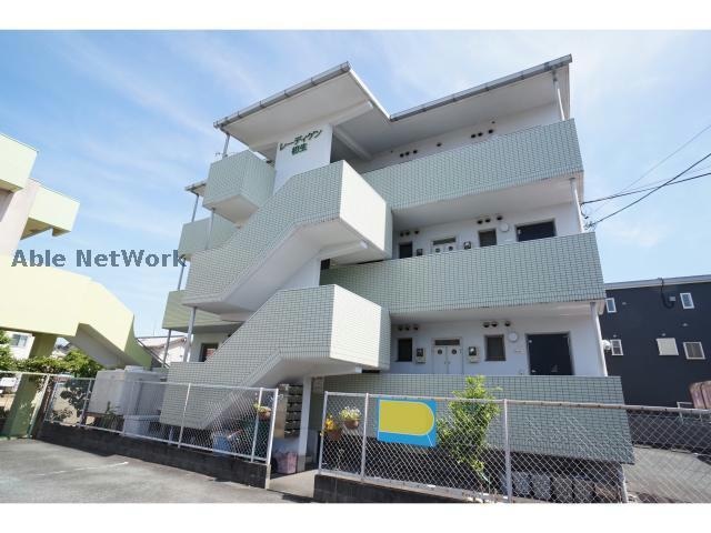  レーディゲン初生