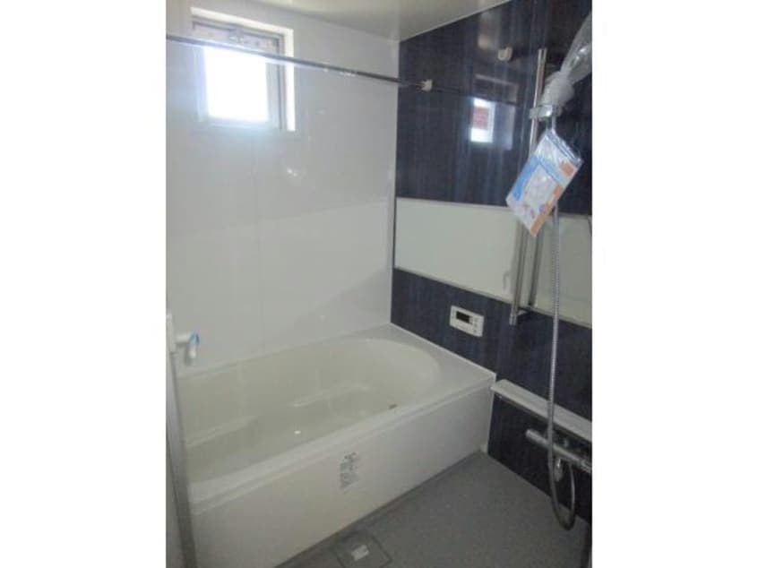  Selene（セレネ）