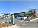 杏林堂薬局有玉南町店(ドラッグストア)まで598m Avenir