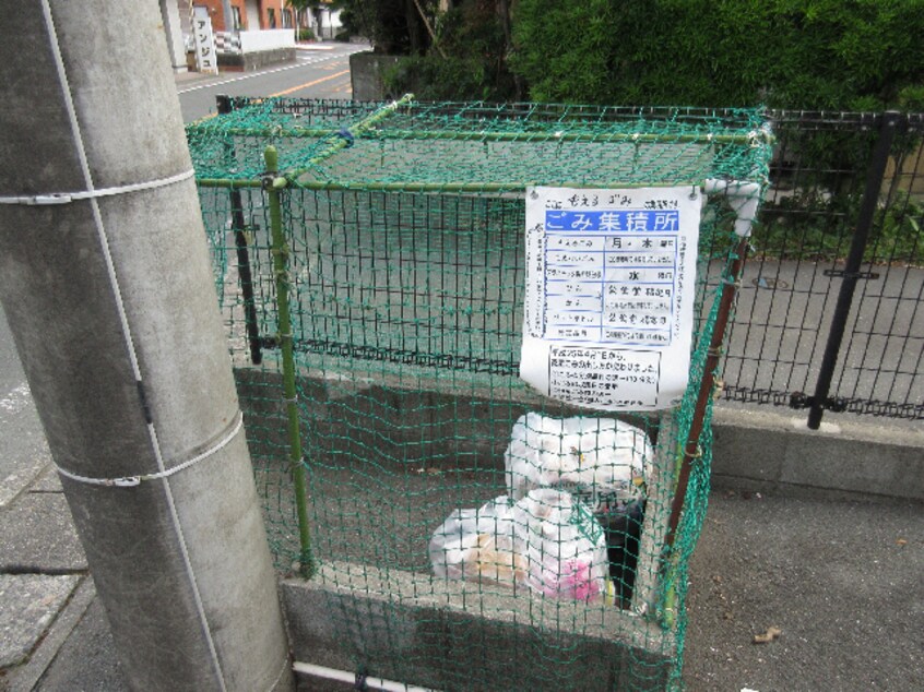  クローバー