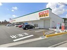 スギ薬局高林店(ドラッグストア)まで328m Palace　Mooyo