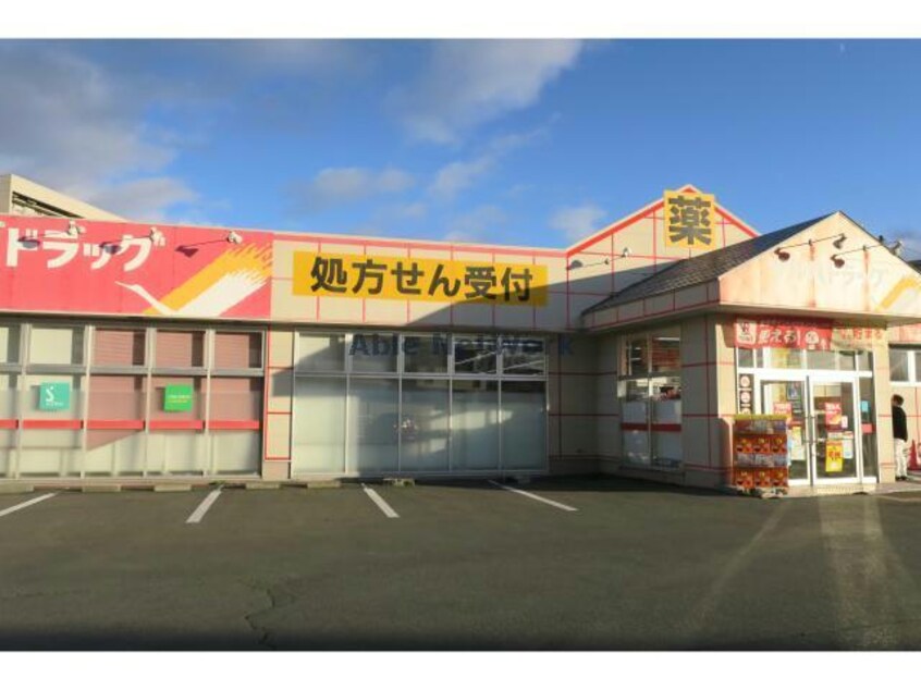 調剤薬局ツルハドラッグ上田店(ドラッグストア)まで1750m ルネスベルエール　Ｂ棟