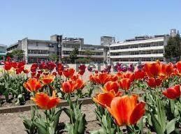 盛岡市立仁王小学校(小学校)まで1380m 北山２丁目貸家