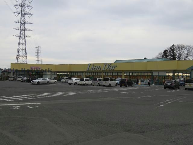 リオン・ドール高根沢店(スーパー)まで1232m ノーブルクロードⅠ