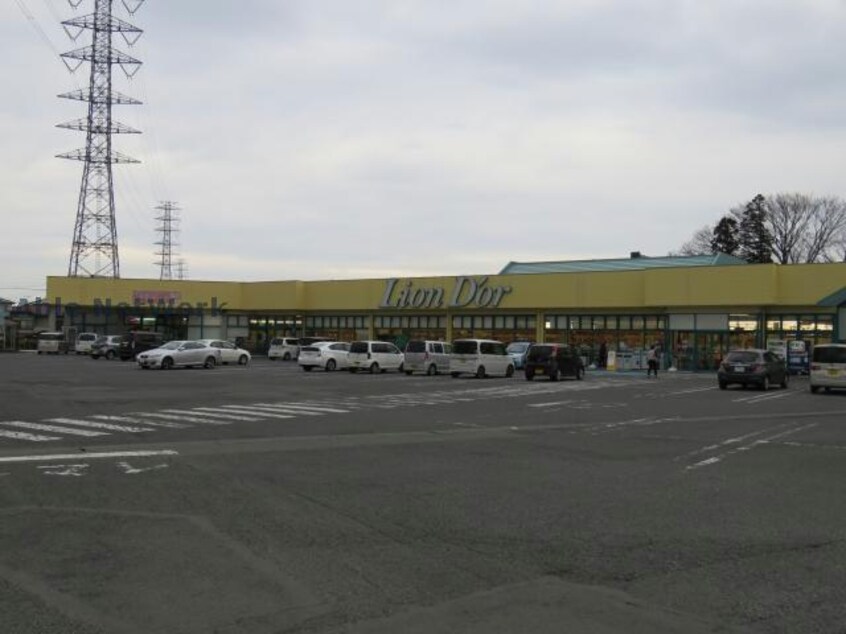 リオン・ドール高根沢店(スーパー)まで1196m グリーンヴィラⅡ