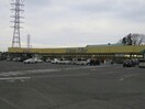 リオン・ドール高根沢店(スーパー)まで1093m メゾンドＳ－1