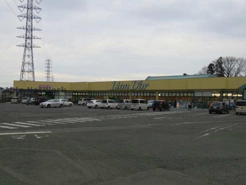 リオン・ドール高根沢店(スーパー)まで1093m メゾンドＳ－1