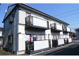 ひまわり　C