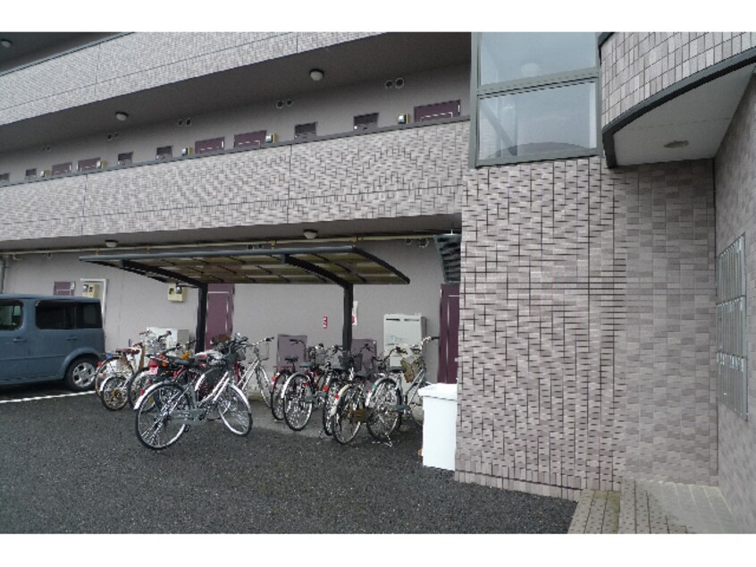  ハイクオリティⅤ（5）