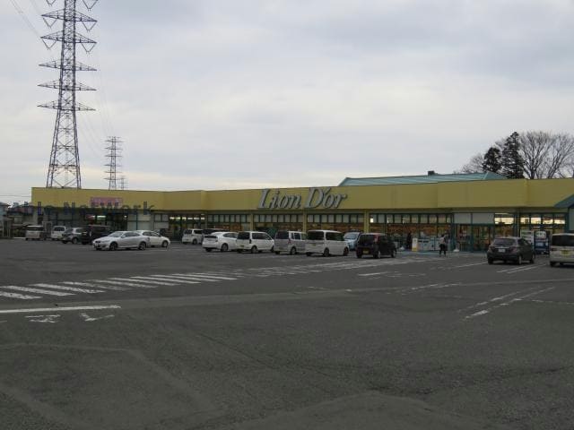 リオン・ドール高根沢店(スーパー)まで983m コーポグレース