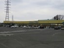 リオン・ドール高根沢店(スーパー)まで983m コーポグレース
