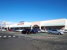 ヨークベニマル氏家店(スーパー)まで1701m メゾンシャルマン