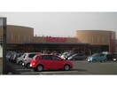 かましんゆいの杜店(スーパー)まで400m ラフィーネE