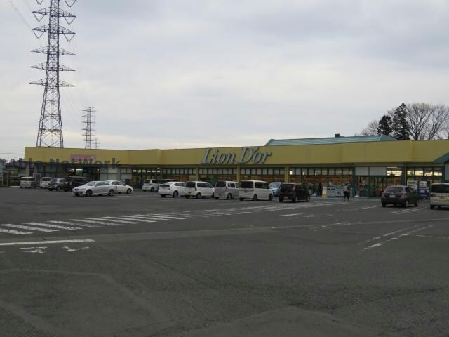 リオン・ドール高根沢店(スーパー)まで1046m イーストカーサ