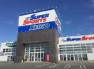 スーパースポーツゼビオ宇都宮石井店(ショッピングセンター/アウトレットモール)まで431m パークハイム陽東