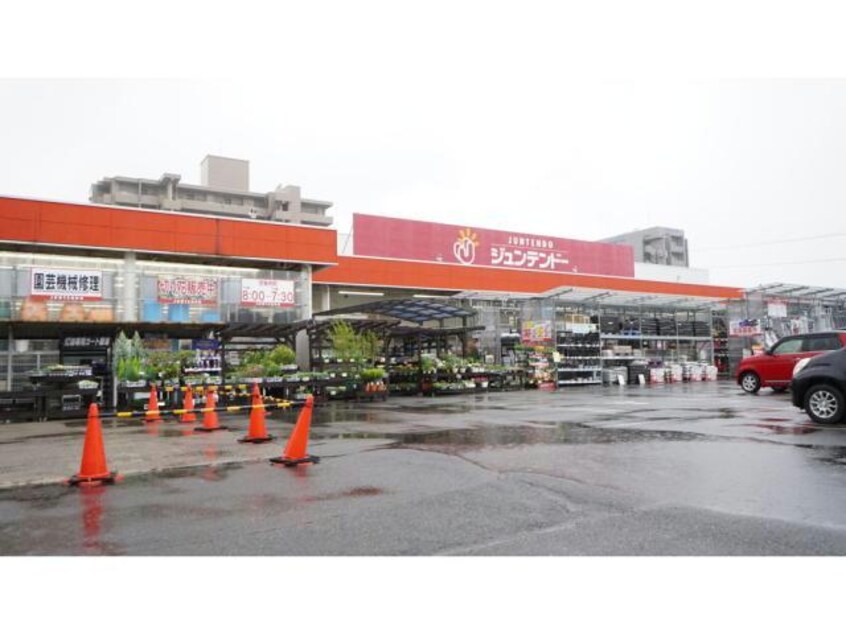 ホームセンタージュンテンドー駅南店(電気量販店/ホームセンター)まで232m サザンコート