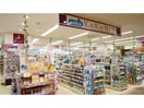 KoKuMiNシャミネ鳥取店(ドラッグストア)まで729m ラ・コンペールB棟