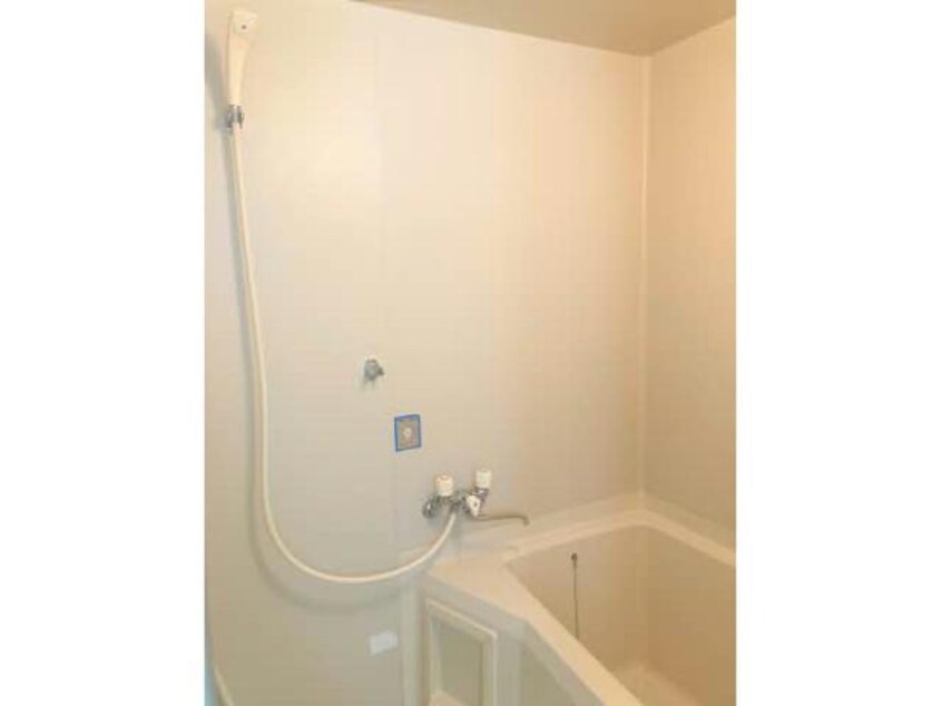  チェリーコートB