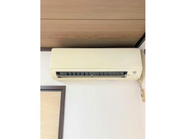  チェリーコートB